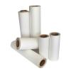 A group of DTF transfer film rolls in various width sizes standing against a white background