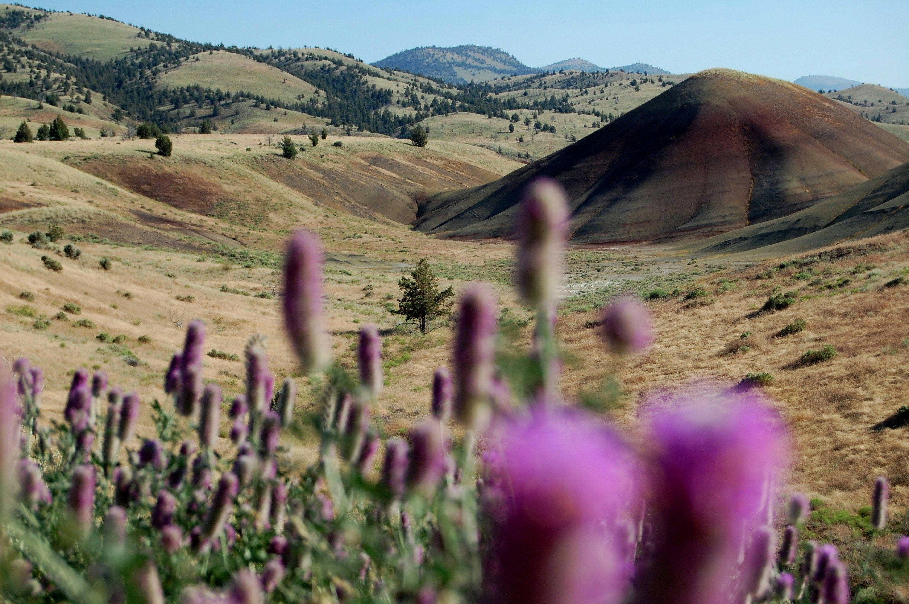 Painted Hills in Oregon