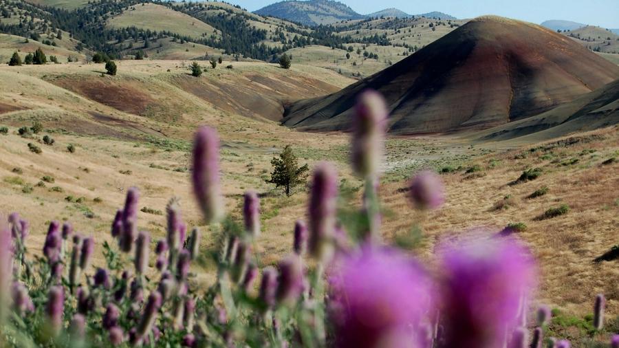 Painted Hills in Oregon