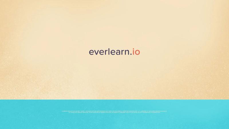 Text revealed reads "everlearn.io". The rectangle character and beachball transform into the "io" of everlearn.io. The wave settles into a blue bar at bottom of screen where disclaimer details appears.