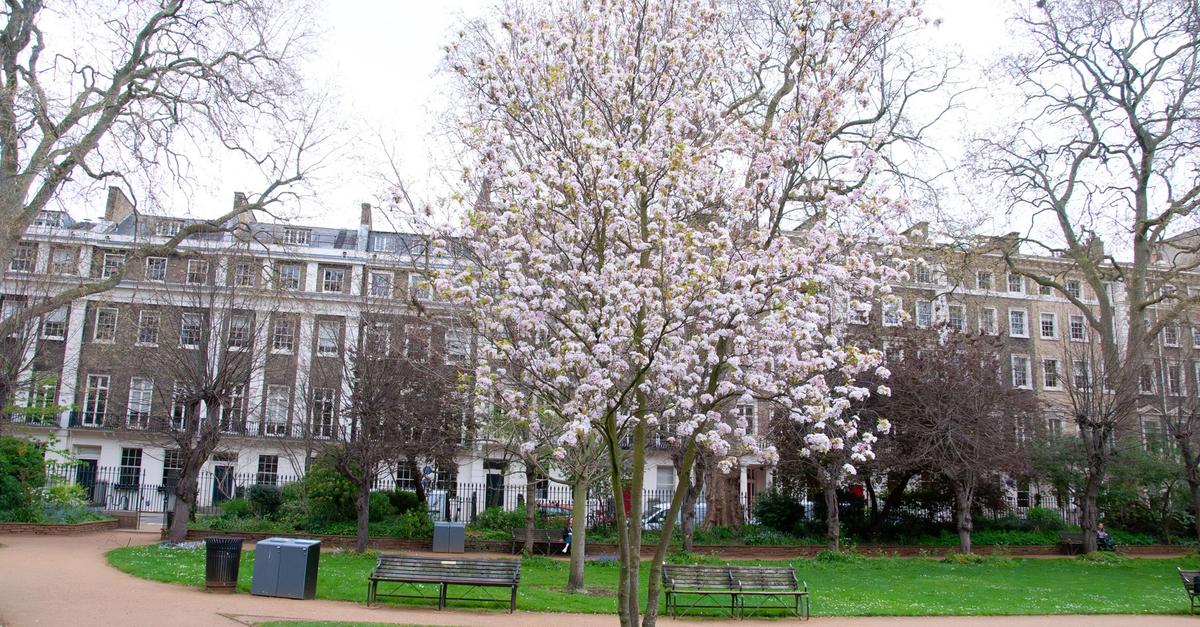 Gordon Square Spring Gordon Square Gardens | Bloomsbury - London