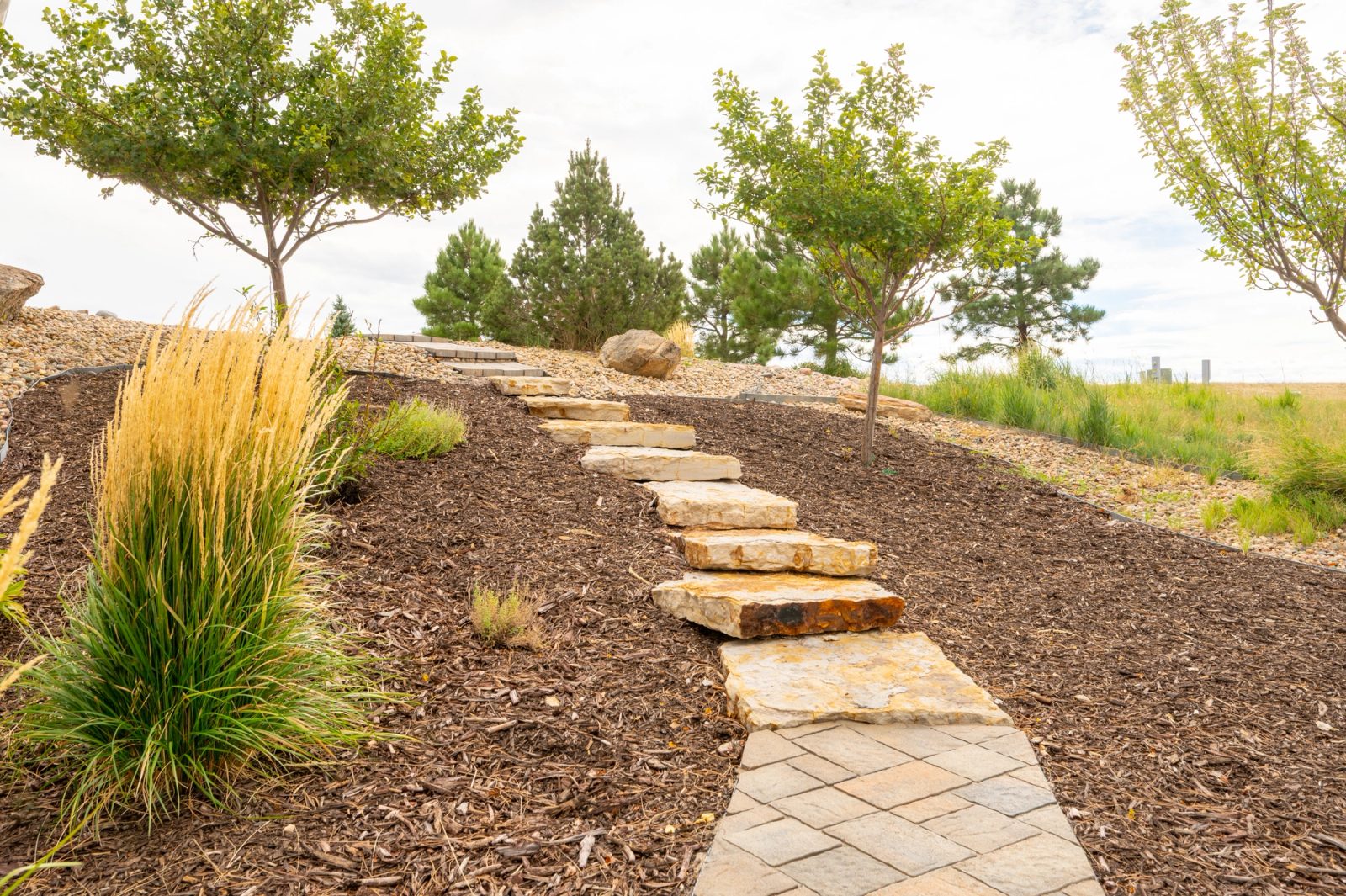 Stone slab steps rise through a mulched bed with ornamental grasses and young trees.