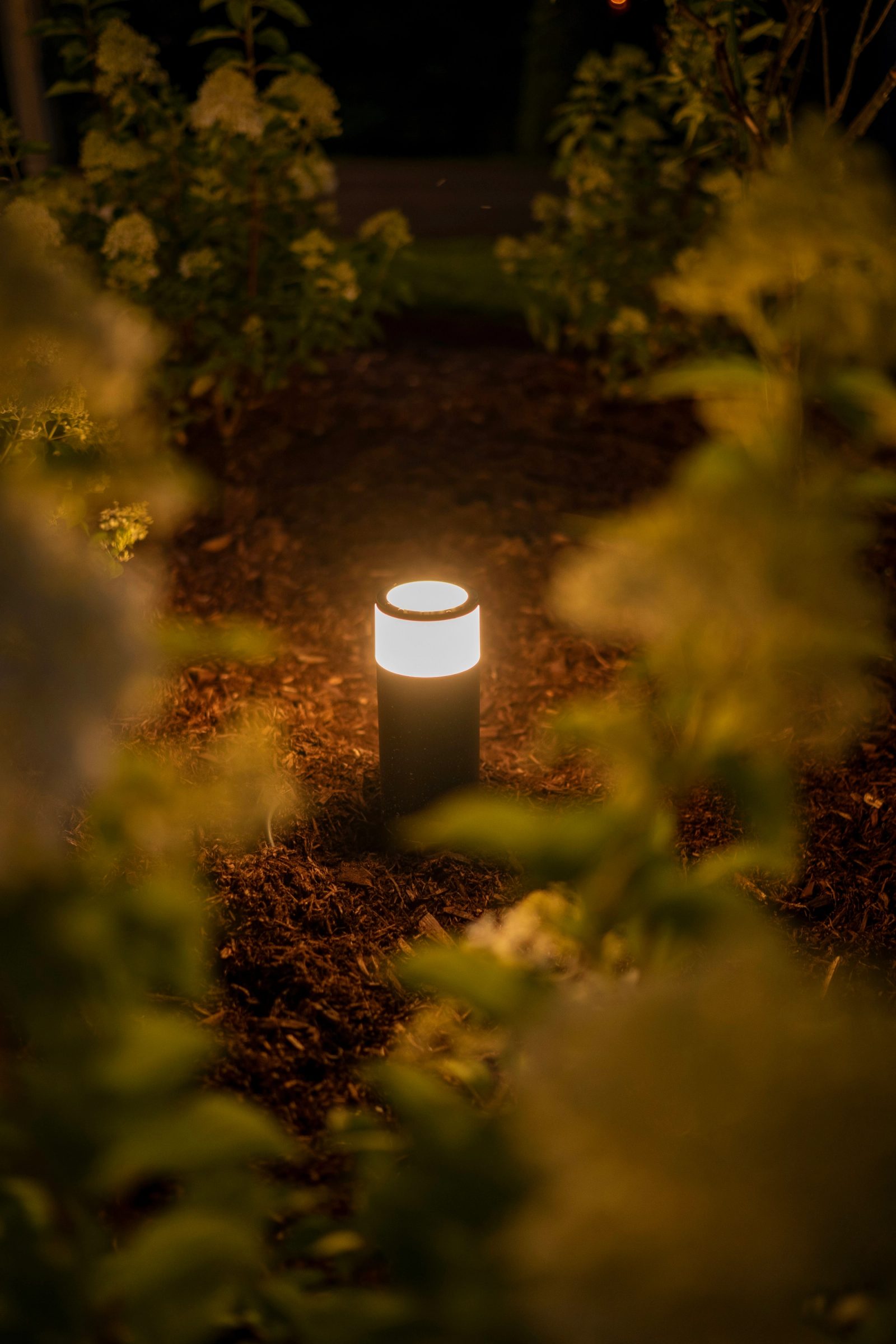 A single low bollard path light glowing warmly on a mulched bed among plants at night.