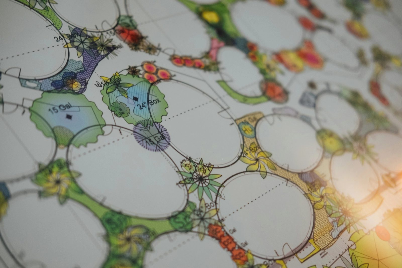 Close-up of a hand-coloured landscape planting plan showing circular tree and shrub symbols in soft greens.