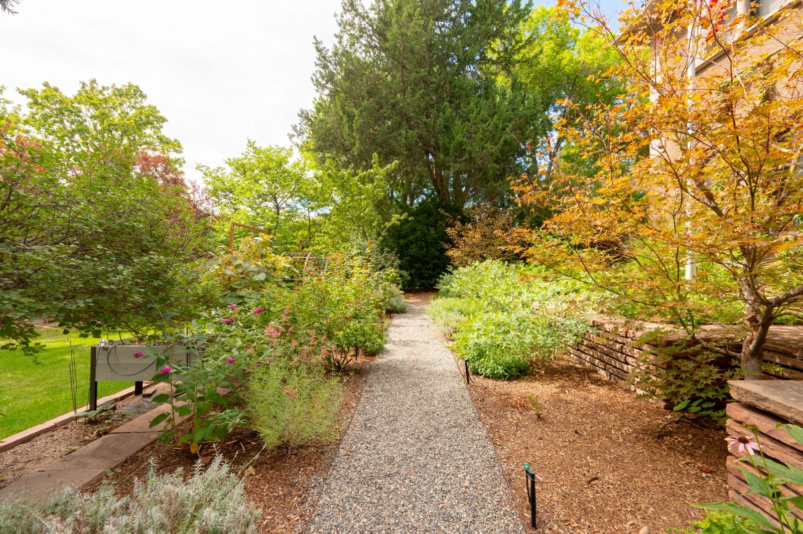 A gravel path winds through naturalistic plantings with early fall color.