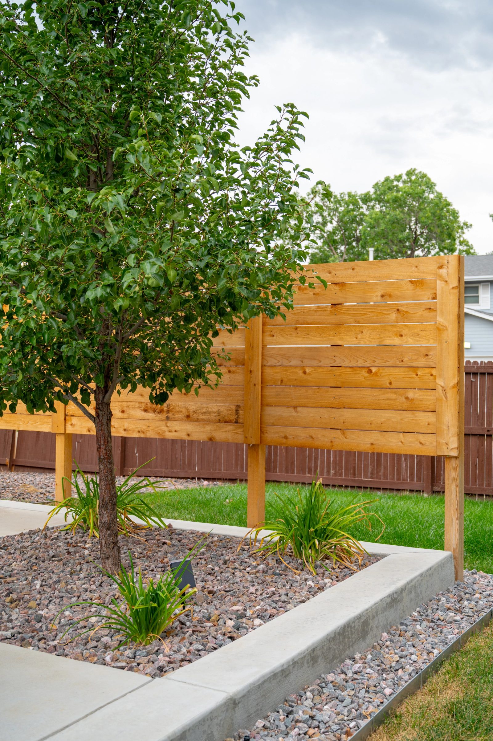Horizontal cedar privacy screen behind a young tree in a rock-mulched planting bed edged in concrete.