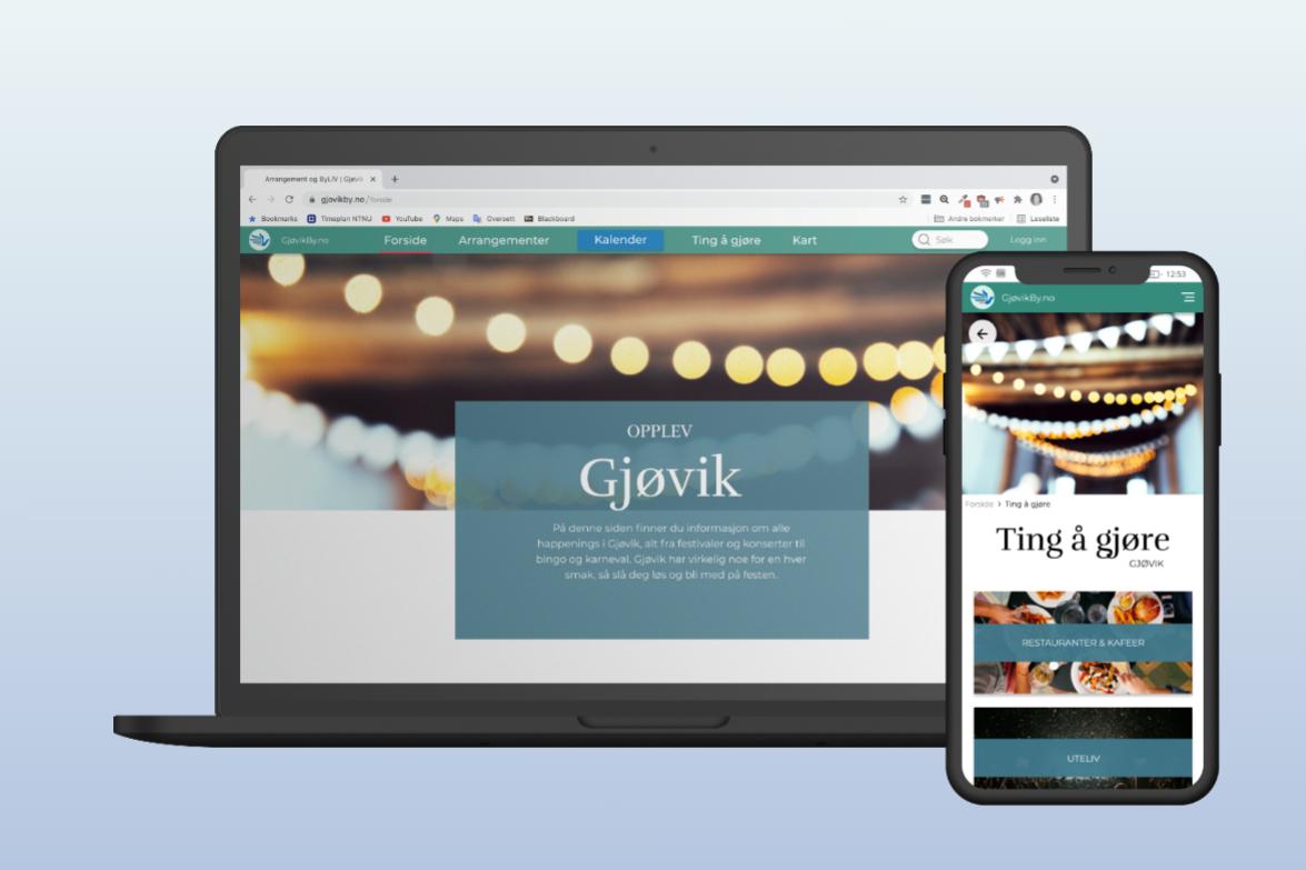 Informasjonsarkitektur – «Gjøvik by»