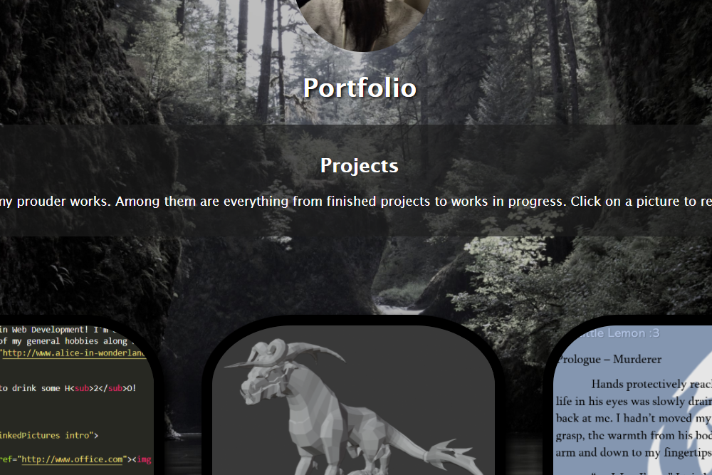 Min første portfolio