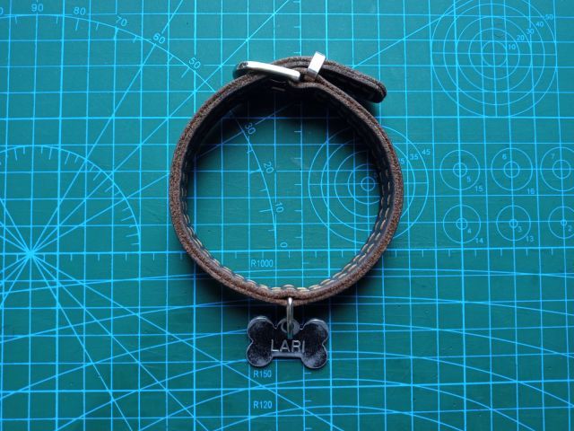 Collare per cane in pelle con borchie e targhetta