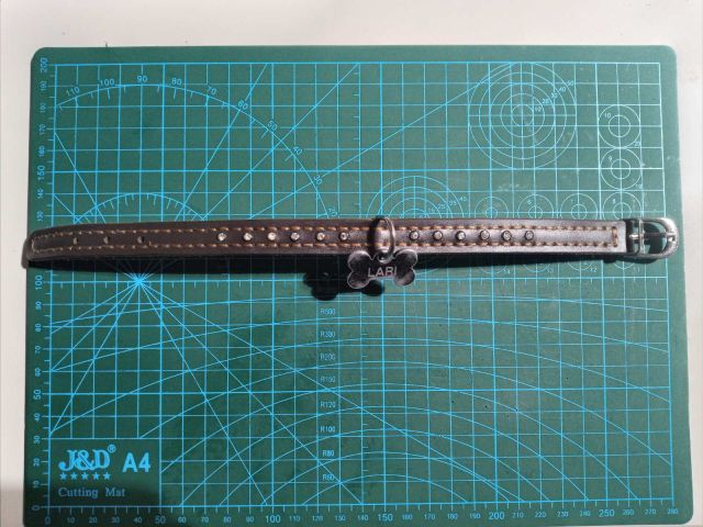 Collare per cane in pelle con borchie e targhetta