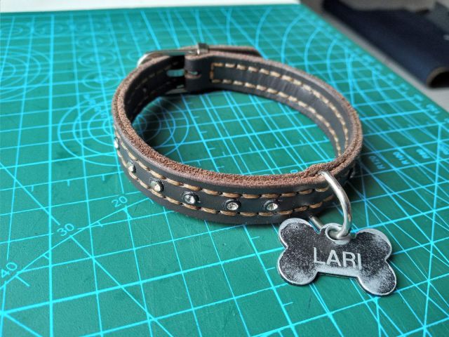 Collare per cane in pelle con borchie e targhetta