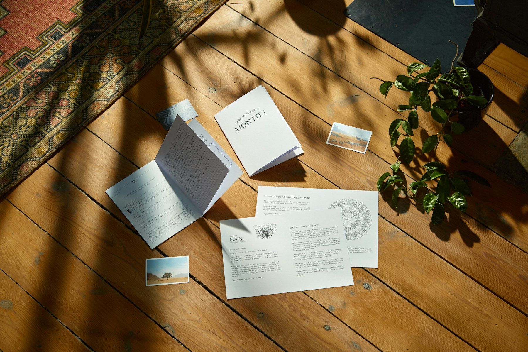 Notes and score sheets laid out across the same sunlit table