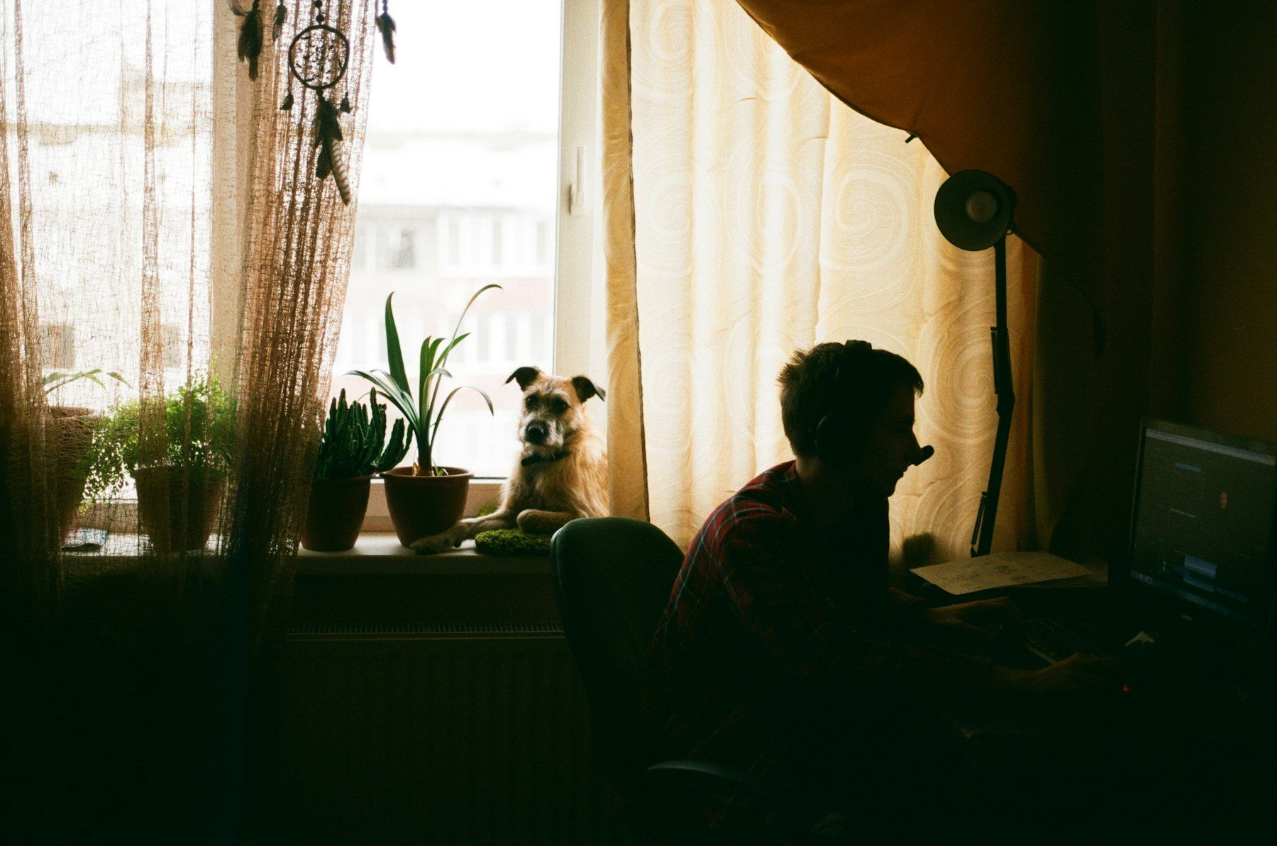 Someone working alone at a desk against a bright window, late in the day
