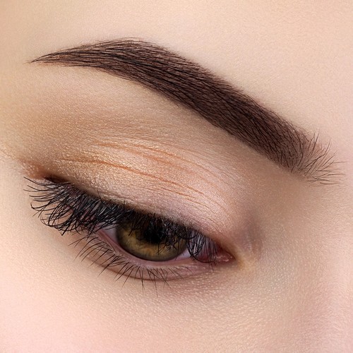 Brown female eye with ombre brows