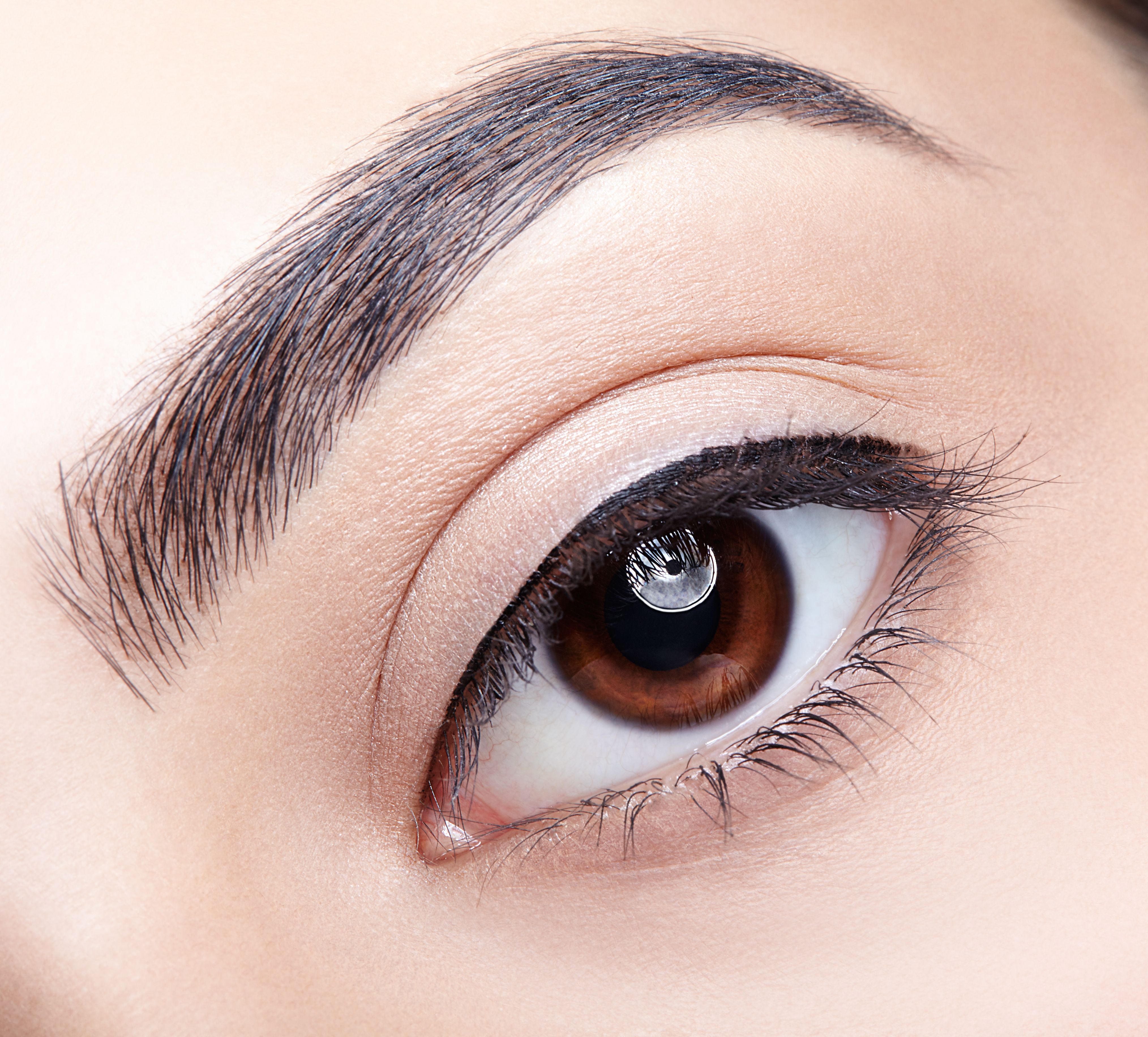 Thin line that sits at the root of lashes