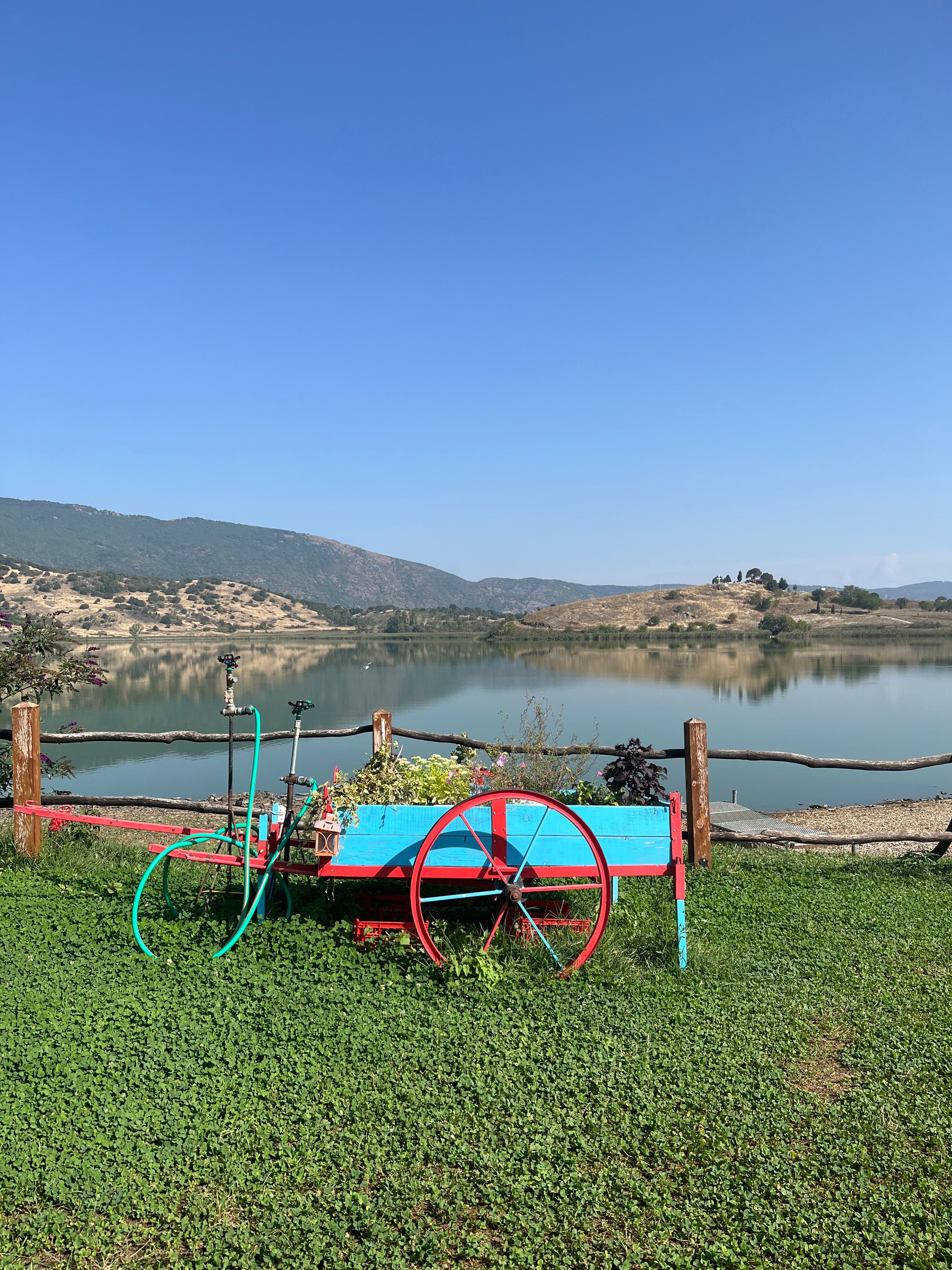 Picture of a lake and mountains in the background with a cyan and red repurposed cart as a gardening pot in the front.d 