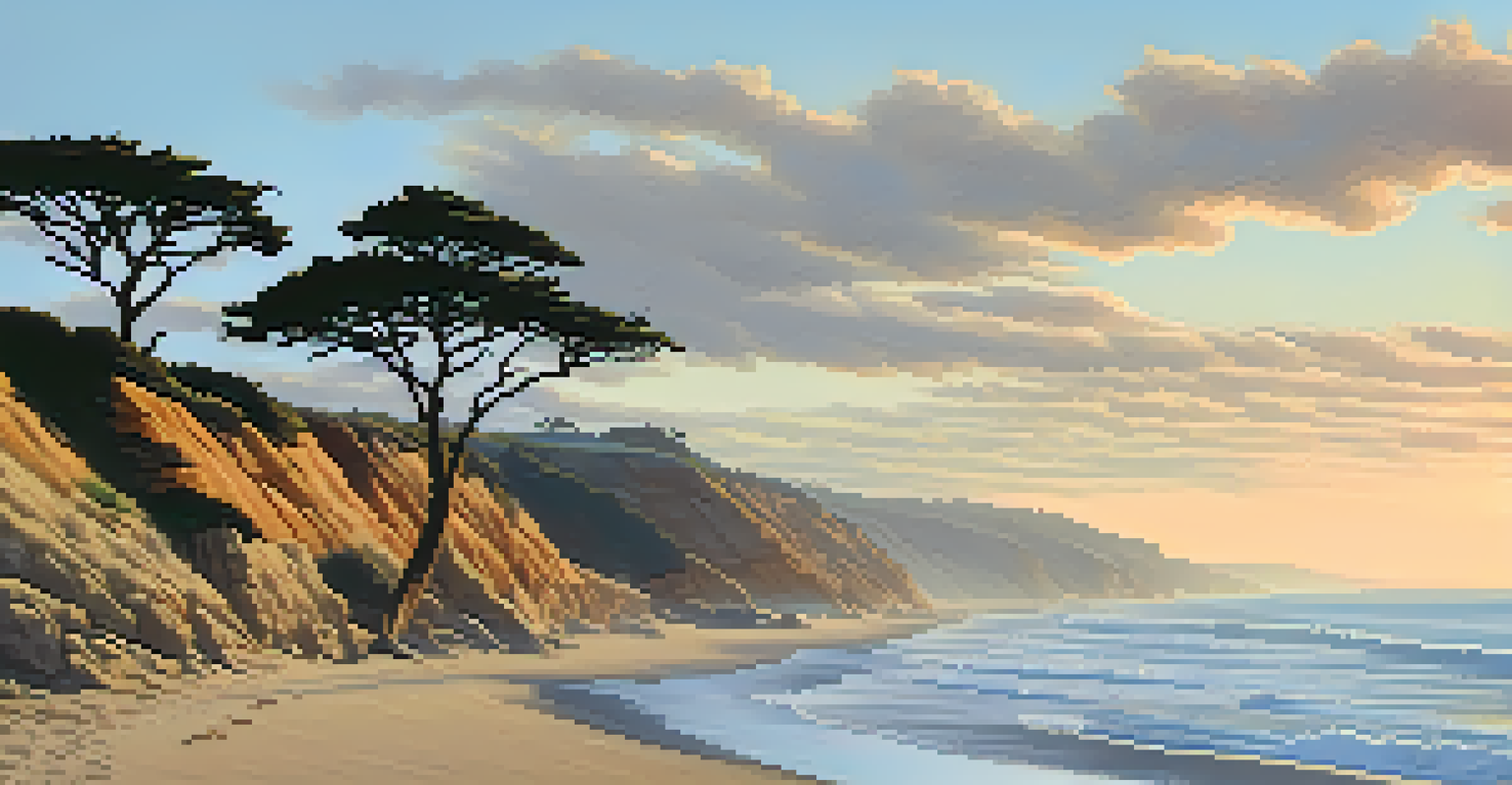 View of Torrey Pines State Beach with cliffs, trees, and hikers during sunset.