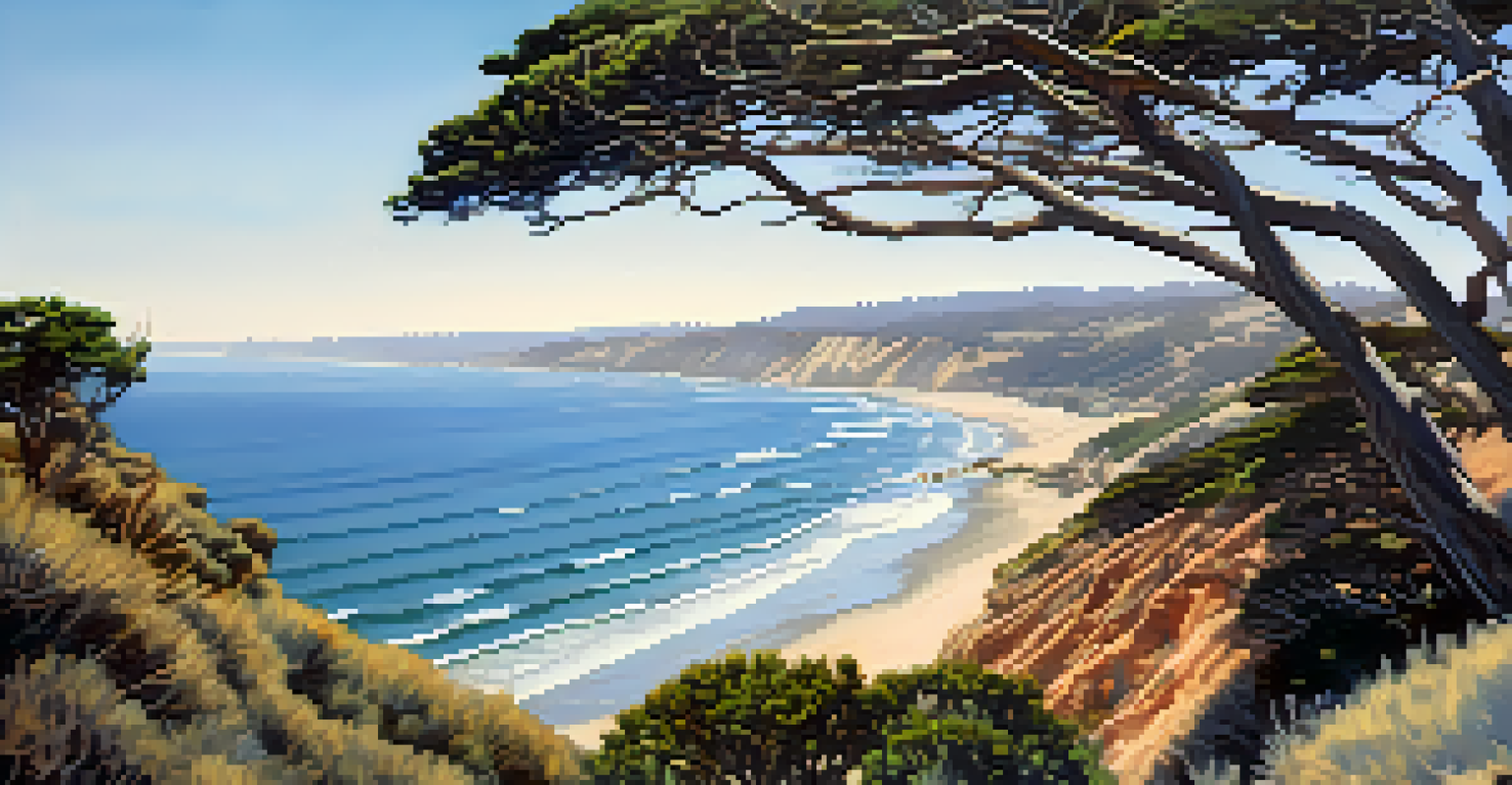 An aerial view of Torrey Pines State Natural Reserve with dramatic cliffs and coastal vegetation.