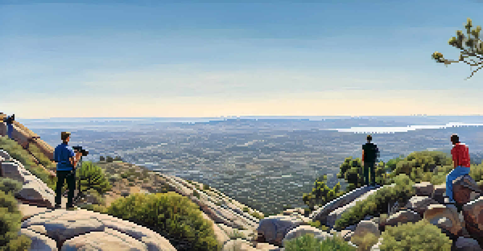 A panoramic view from Cowles Mountain with hikers enjoying the landscape of San Diego.