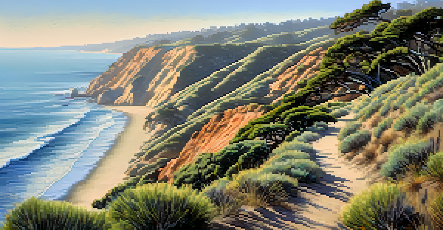 A winding trail at Torrey Pines State Reserve with coastal sage scrub and early morning light illuminating the cliffs.