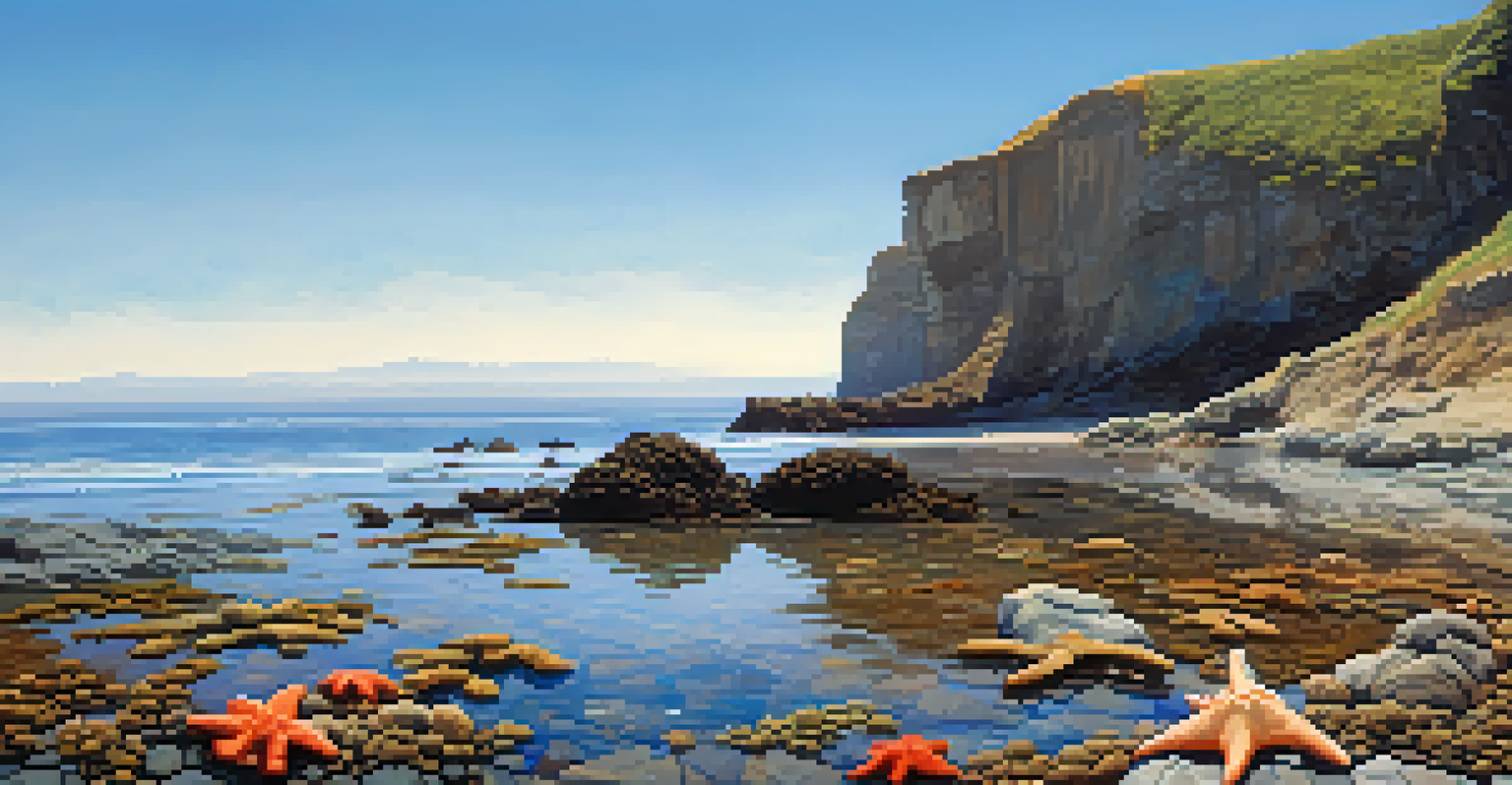 Colorful tide pools at Cabrillo National Monument showcasing marine life, with cliffs and the Pacific Ocean in the background.