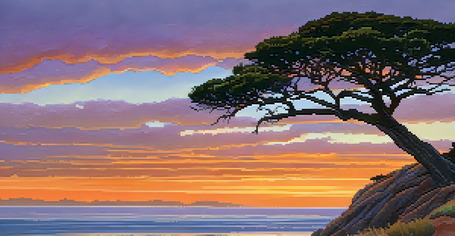 Torrey Pines cliffs at sunset with a silhouette of a Torrey Pine tree and a rabbit in the grass.