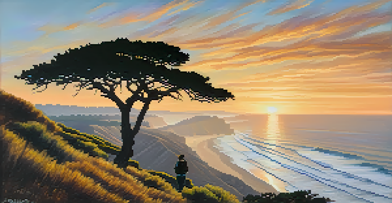A scenic sunrise from Torrey Pines State Natural Reserve with cliffs, trees, and ocean views, highlighting a hiker in silhouette.