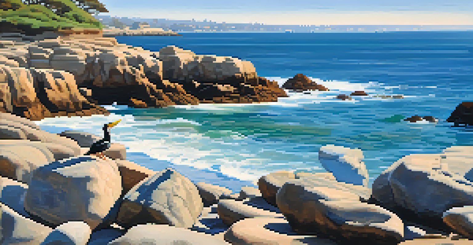 Close-up of La Jolla Cove's rocky shoreline with seabirds perched on the rocks and tide pools reflecting the sky.
