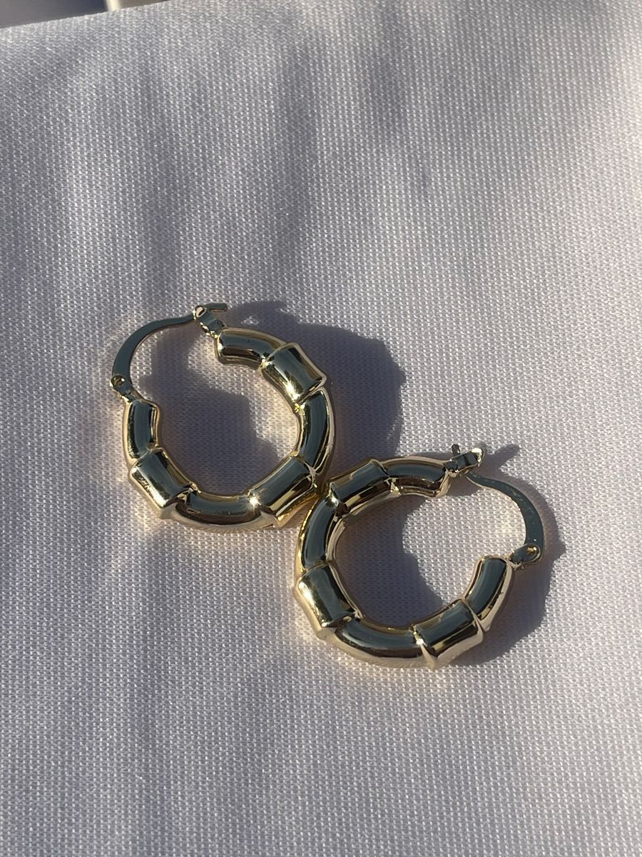 Aretes Paula
