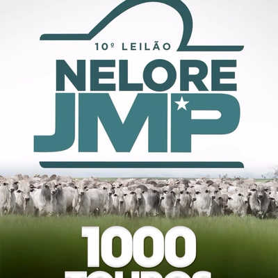 10º Leilão Nelore JMP - 1000 Touros - Foto 1