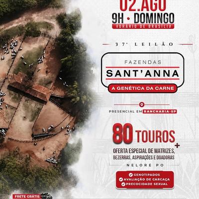  37º Leilão Fazendas Sant’Anna  - Foto 1