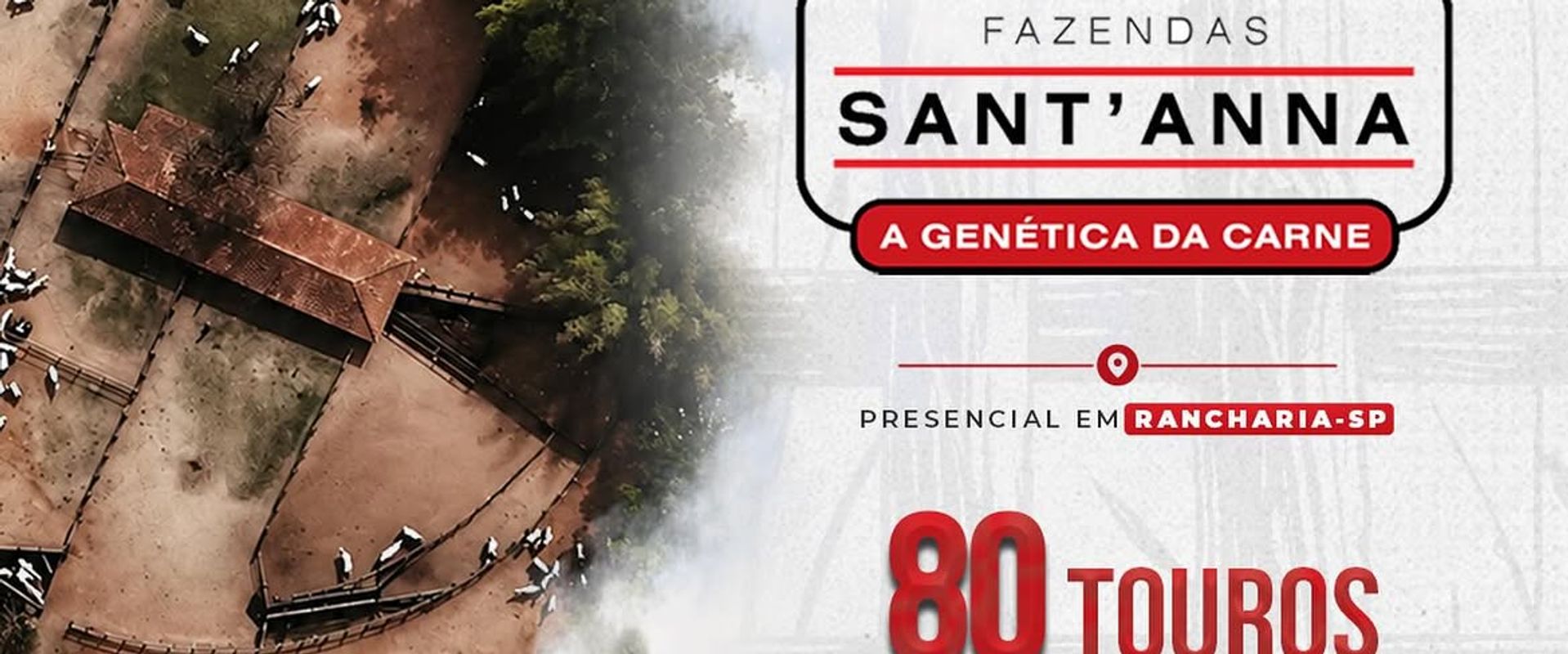  37º Leilão Fazendas Sant’Anna 