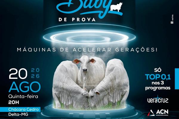 Leilão Baby de Prova - Máquinas de Acelerar Gerações