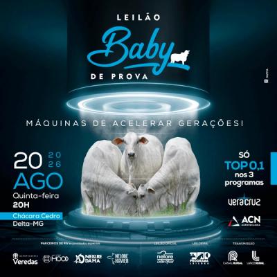 Leilão Baby de Prova - Máquinas de Acelerar Gerações - Foto 1
