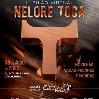 I Leilão Virtual Nelore Toca - Foto 1