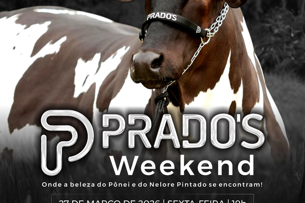 Prados Weekend - Nelore Pintado PO