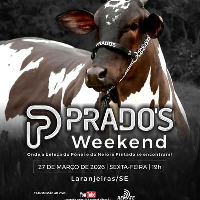 Prados Weekend - Nelore Pintado PO - Foto 1