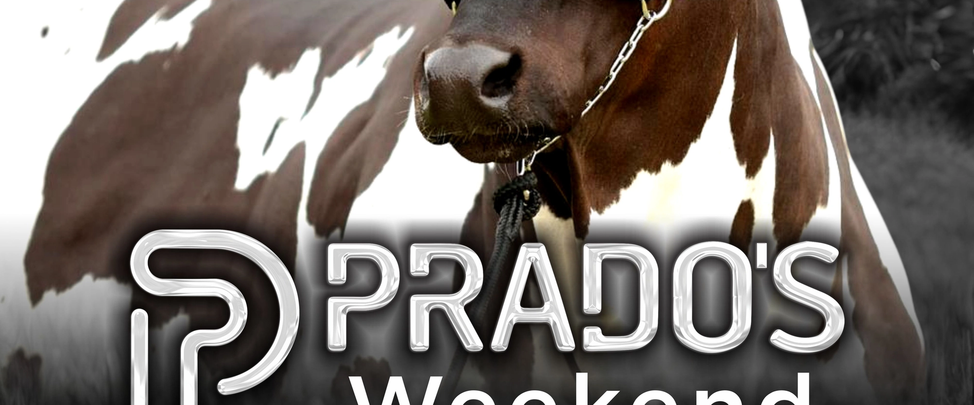 Prados Weekend - Nelore Pintado PO