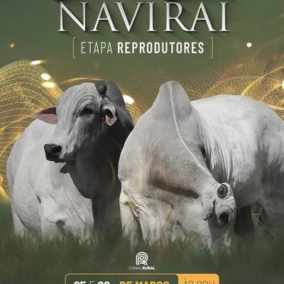 Mega Genética Naviraí - 2ª Etapa Reprodutores - Foto 1