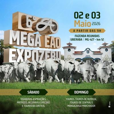 6º Leilão Mega EAO - Etapa Matrizes | Expozebu 2026 - Foto 1