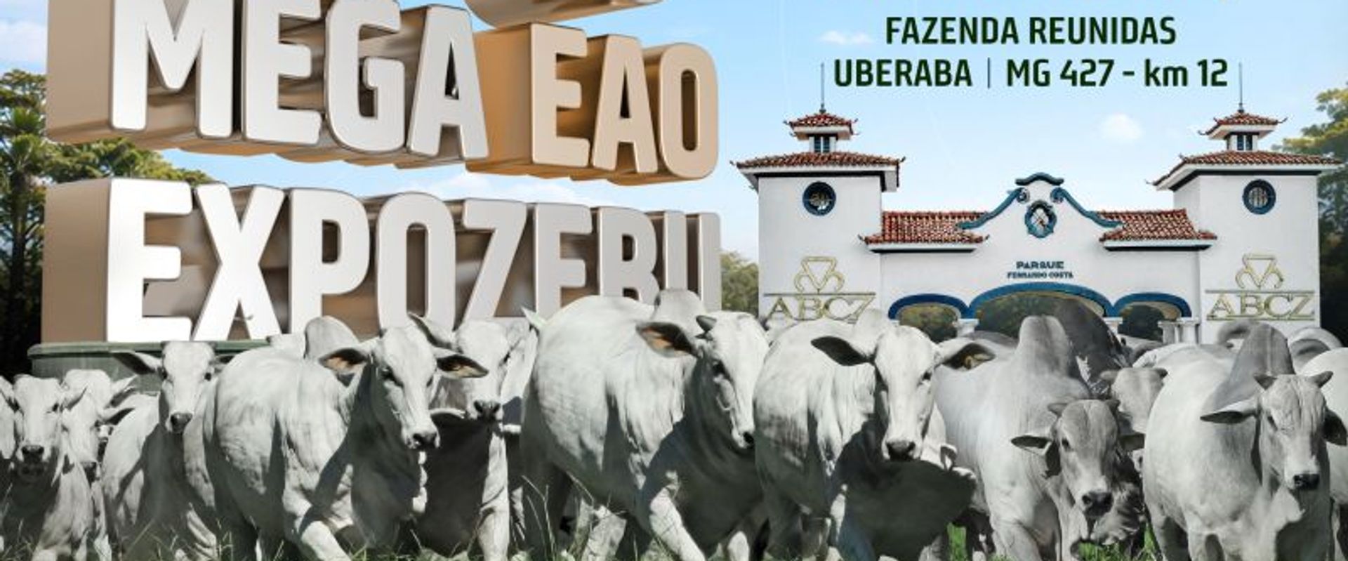 6º Leilão Mega EAO - Etapa Matrizes | Expozebu 2026