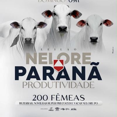 Leilão Nelore Paranã Produtividade - Foto 1