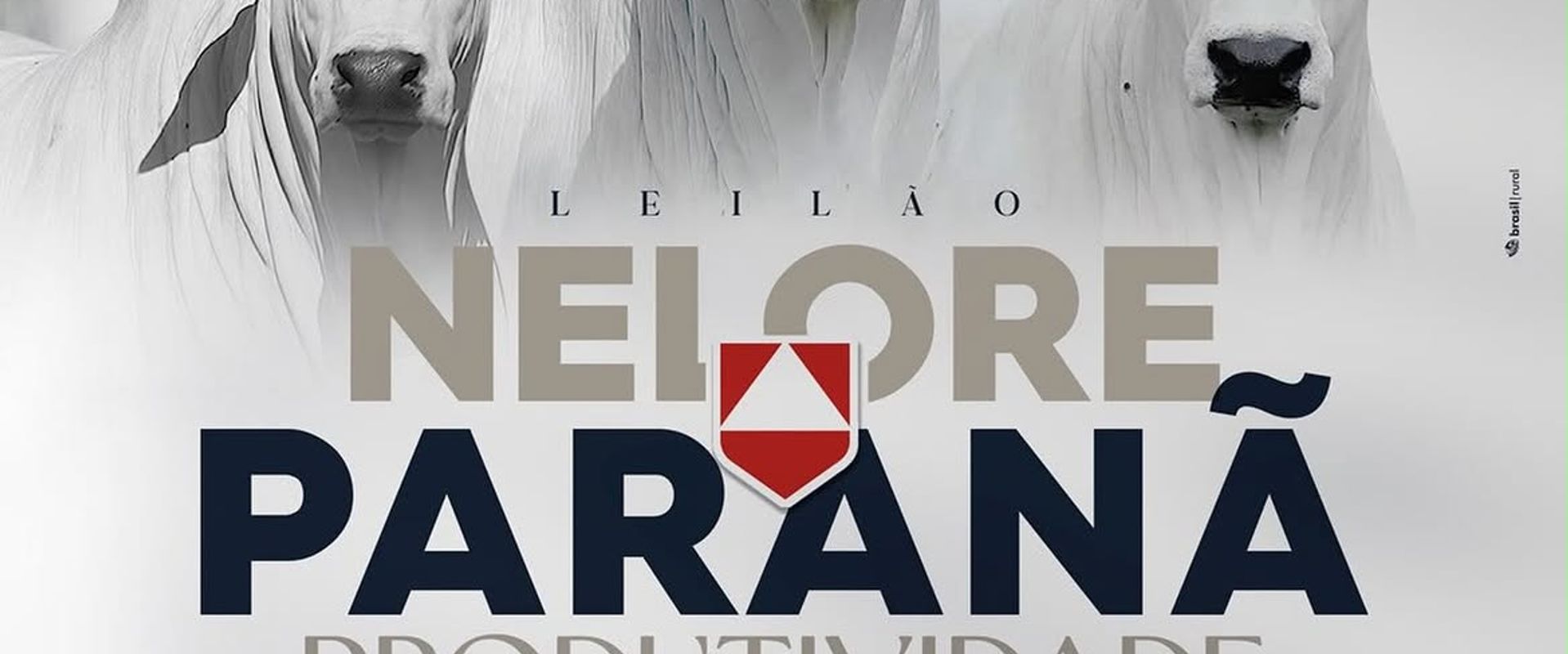 Leilão Nelore Paranã Produtividade