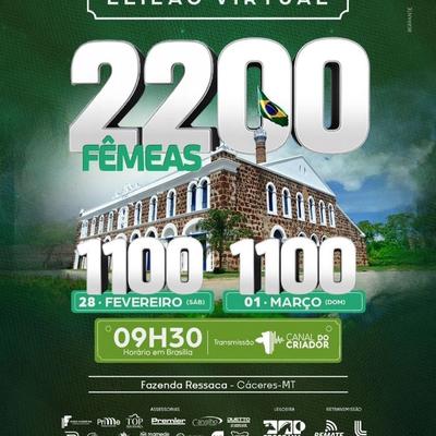 Leilão Virtual Fazenda Ressaca  - Foto 1