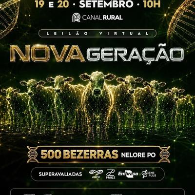  Leilão Virtual Nova Geração - Foto 1