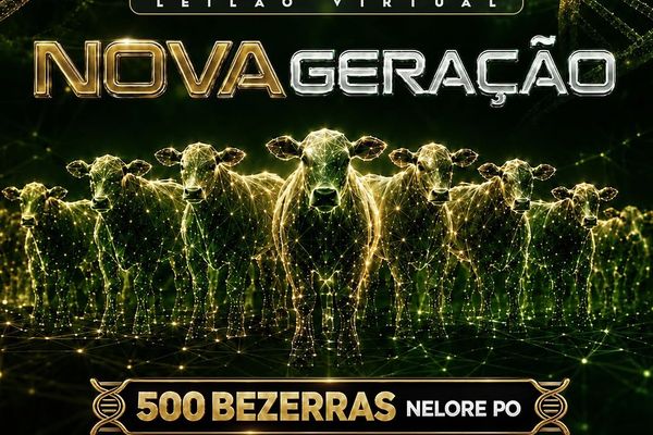  Leilão Virtual Nova Geração