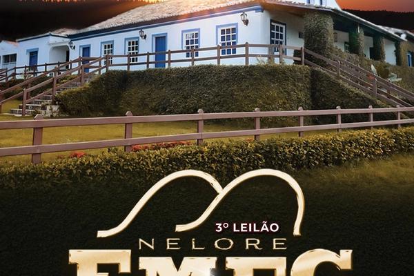 3º Leilão Nelore FMFC