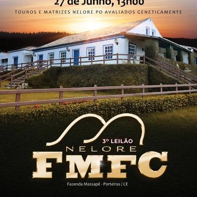3º Leilão Nelore FMFC - Foto 1