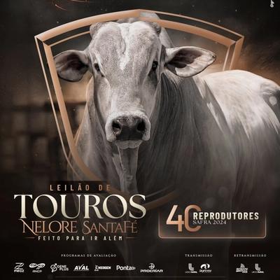 Leilão de Touros Nelore SantaFé - Foto 1