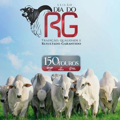 Leilão Virtual Dia do RG - Etapa Touros - Foto 2